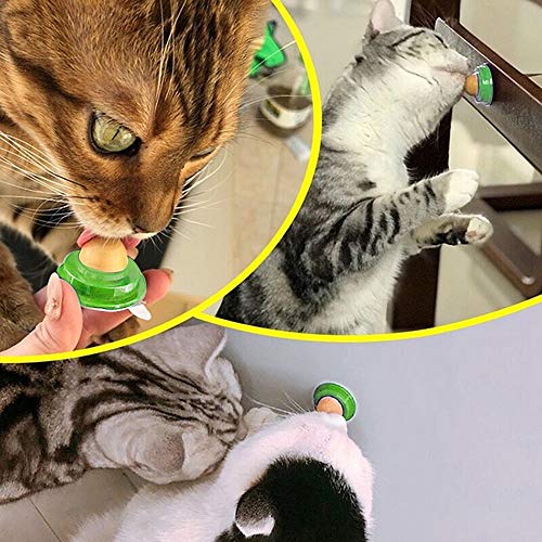 HNQH Petiscos para gatos, doces e gatos, bola de energia de gel saudável para gatos lambendo doces e