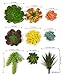 Trunnco 9 Designer Quality Large Faux Succulents Life-Like for Artificial Succulent Plants Arrangement