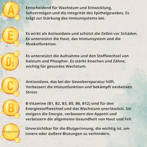 Vitacare – Multivitaminpräparat 300 g Pulver für Hunde und Katzen | natürliche Vitamine mit Algen Kelp, Bierhefe, Mariendistel, Komplex B, A, C, D3 und E | Immunverstärkung und Energie