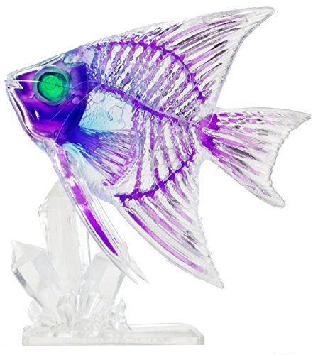 Puzzle 3D poisson ange en cristal acrylique à double couche style cabinet de curiosités