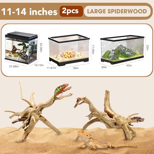 Image of Jorewood Natural Large Spiderwood Driftwood for Aquarium Decor Rptile Fish Tank Decoration Assort Branch 11-14'' 2 Pcs