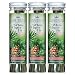 Scentsicles White Winter Fir Scented Ornaments with Hooks - 3 Bottles (18 Sticks Total)