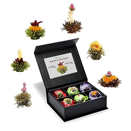 Creano 6 theebloemen in edele magnetische doos met zilveren reliëf