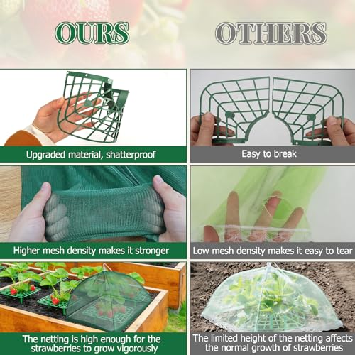 6 Sets Strawberry Plant Support with Mesh Plant Cover, Strawberry Growing Rack Kit with 24 Iron Plant Nails for Garden, Strawberry Growing Frame with Protective Net for Strawberries Tomatoes Veggies — view 3
