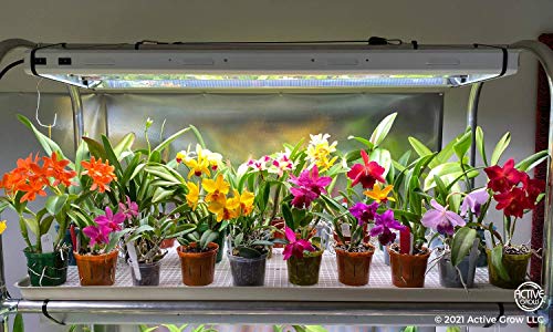 Active Grow T5 High Output 4Ft Led Grow Light Bulb - Plant Grow Lights For Indoor Plants, Veg, Bloom, Greens & Microgreens - 24W - Sun White Full Spectrum High Cri 95 - Direct Replacement - 4-Pack #TOP2