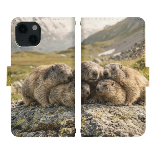 OPPO Reno5 A A103OP �p �蒠�^�P�[�X �x���g���� dj035(Q)