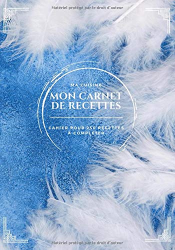 Télécharger MA CUISINE - MON CARNET DE RECETTES: CAHIER DE 250 RECETTES A COMPLETER - 2 pages par recettes - 513 Livre PDF Gratuit