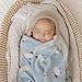 Bleu La La Knit Baby Swaddle Blanket for Boys - 100% Cotton Soft Cozy Lightweight Receiving Swaddling Stroller Quilt Blanket for Newborns Infants Toddlers (Sheep - Baby Blue)