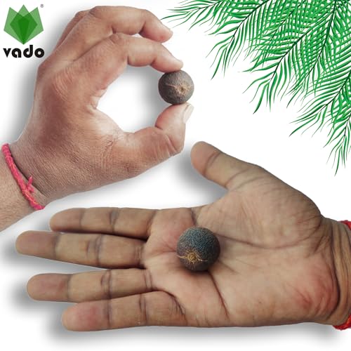 Image of Vado Nepali Rudraksha Fruit (Pack of 2 Beads) रुद्राक्ष फल with Natural Untreated Raw Shell for Mala & Bracelet (2)