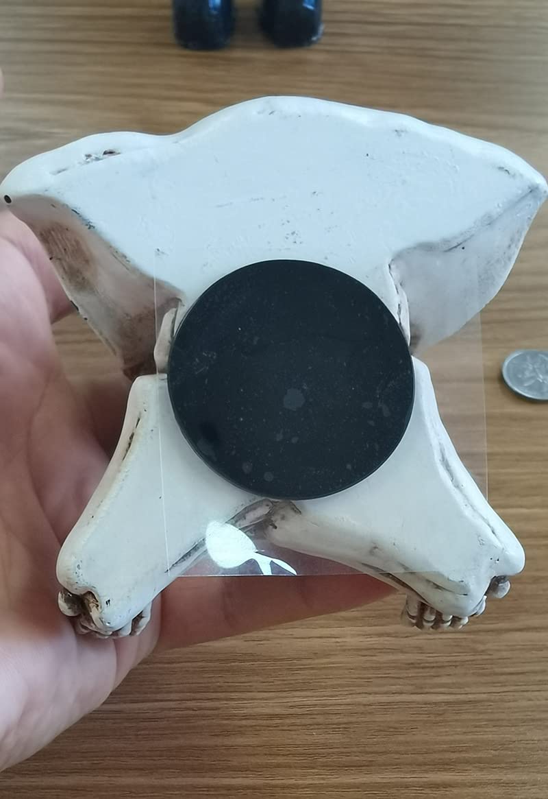 Niedlicher, meditierender Totenkopf-Armaturenbrett-Telefonhalter für Auto, Autotelefonhalterung, Totenkopf-Auto-Innenausstattung, Gothic-Halloween-Dekorationen für das Home Office