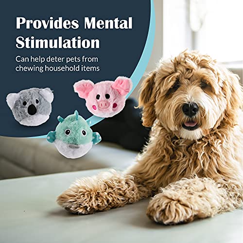 Flourish Pets 3 Pack 2 In 1 Durable Dog Chew Toy With Non-Toxic Bpa, Double Stitched Soft Fabric Exterior Squeaky Indestructible Dog Toy For Aggressive Chewers - Prickles Small Pack (4″) #TOP5