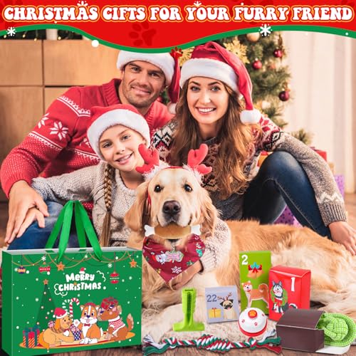 iZoeL Adventskalender für Hunde 2025 Weihnachtskalender 24 Hundespielzeuge Hundehalsband Spielzeug Weihnachten Geschenk Hundeliebhaber Wiederverwendbar Adventskalender Geschenke