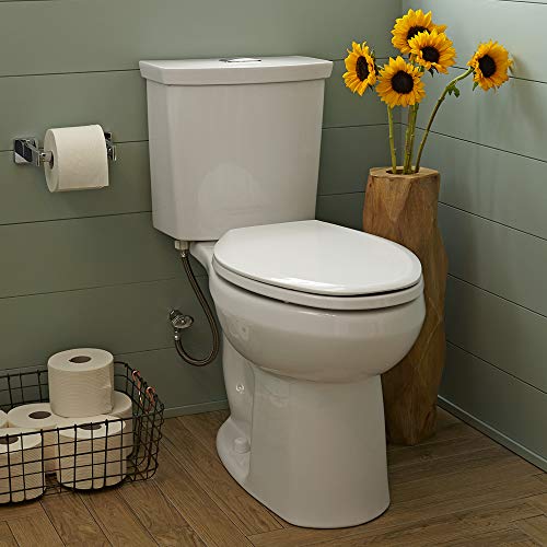 12 Best Flushing Toilets in 2021 Important Details & Buying Guide