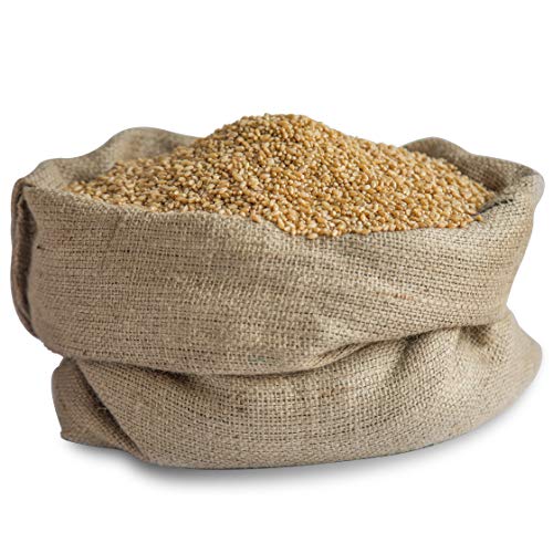 Gropure Organic: From Soil to Soul Gropure Organic Wheat Sharbati 5kg Gropure Organic: From Soil to Soul Gropure Organic Wheat Sharbati 5kg
