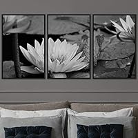 3 Piece Framed Canvas Wall Art Black and White Botanical Canvas Prints Home Artwork Decoration for Living Room,Bedroom - 16