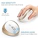 Wireless Vertical Mouse, Jelly Comb Wireless Mouse 2.4G High Precision Ergonomic Optical Mice 【 for Small Hands 】 (White and Gold)
