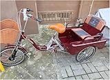 20in 3 Wheel Bike for Women 440 Lb. Capacity, Adult Tricycle with Basket and Back Seat, Red Bicycle Three Wheels for Parent-Child Cycling Picnic
