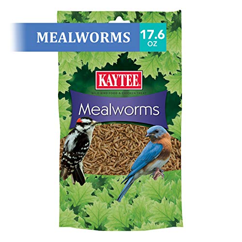 Kaytee 100505655 Mealworms, 17.6 oz, 17.6 Ounce