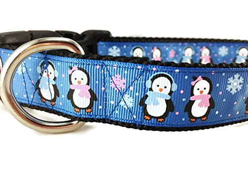 Ocean Hundehalsband Von Caninedesign – Mit Leine, Schnellverschluss, 2,5 Cm Breit, Nylon, Größen M & L