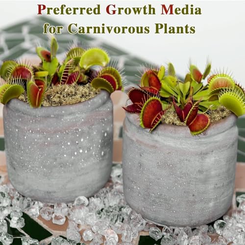 Halatool 4QT Premium Sphagnum Moss for Indoor Plants, Orchid Moss Potting Mix - Natural Sphagnum Moss for Succulents, Carnivorous(Sarracenia), Monstera, Terrarium Substrate & Reptile Habitats - Thumbnail 7