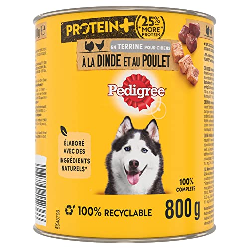 PEDIGREE Dose Protein+ in Pastete mit Truthahn und Huhn 12 x 800g