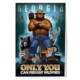 Lantern Press 8x12 Art Print, Georgia, Smokey Bear, Only You Can Prevent Wildfires