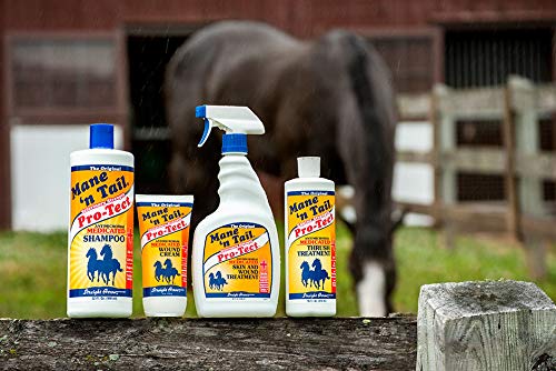 Mane 'n Tail Pro-Tect VETERINARY STRENGTH MEDICATED Shampoo 32 - Main Image