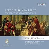  Cuatro Grandes Tríos para Guitarra, Violín y Bajo, Op. 3: Trío No. 2 en Re Mayor: I. Allegro