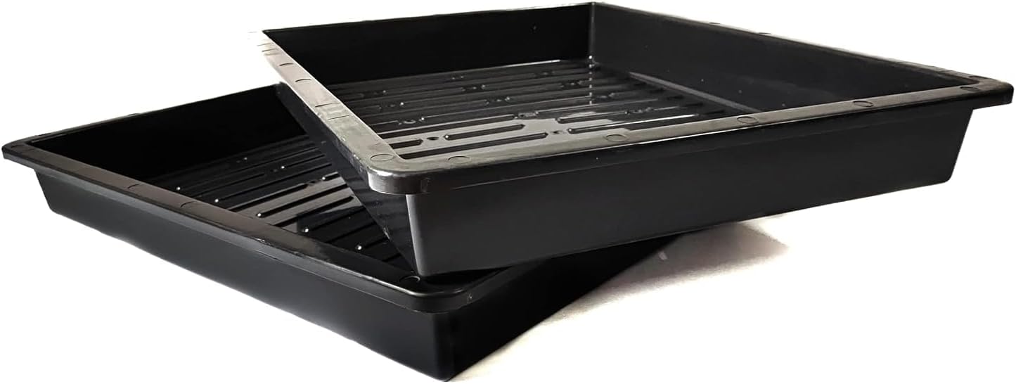 Hydroponics Tray with Water Drainage Holes | Germination,Seeding,Microgreen, Wheat Grass, Fodder Tray | Pack of 2 | 1.5ft * 2ft | 3 inch Depth