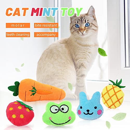 5 pezzi Giocattoli con Erba Gatta, RosyFate