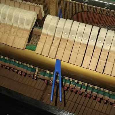 Treble Mute Piano Tuning Tools Piano mute tool Tuning tool middle and high voice mute tool Nylon mute special tools