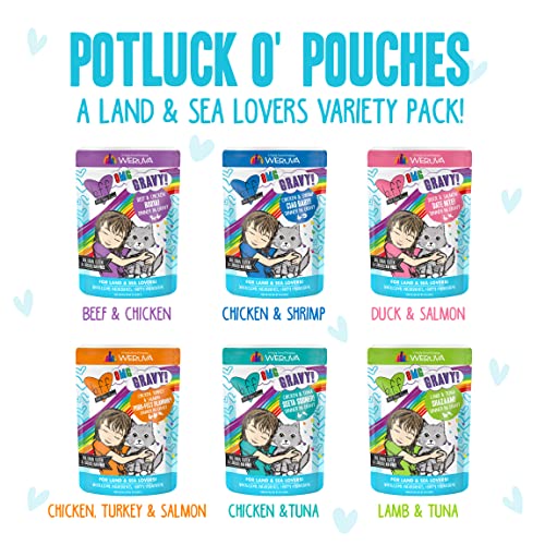 Weruva 1833 B.F.F. Omg - Best Feline Friend Oh My Gravy!, Variety Pack, Potluck O' Pouches, Wet Cat Food thumb #5