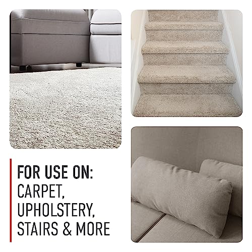 Hoover Paws & Claws Deep Cleaning Carpet Shampoo With Stainguard, Concentrated Machine Cleaner Solution For Pets, 64Oz Formula, Ah30925, White, Package May Vary #TOP4