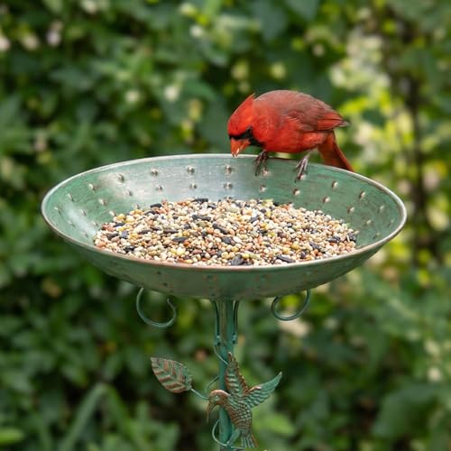 Baño de aves de gran capacidad resistente para todo clima 3