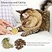 Retro Shaw Cat Toys Balls,Catnip Ball with Bell Inside,Wool Balls Toy with SilverVine Catnip Fill, Upgraded,Interactive Cat Nip Ball for Indoor Kitten Kitty 6 Pcs