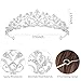 CAVETEE Birthday Headband for Women, Silver Carbide & Rhinestone Crown for Women & Girls Birthday Parties