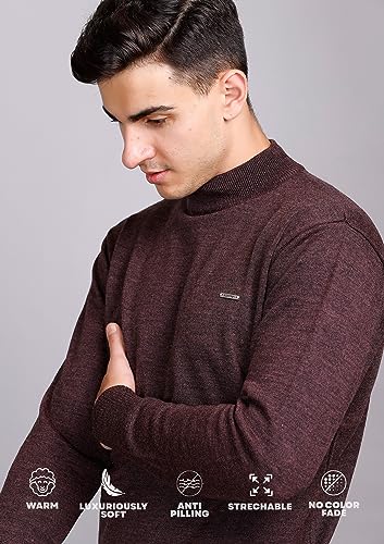 Image of GODFREY Woolen Full Sleeve Sweaters for Men Winter Wear - Turtle Neck Pullover for Men Stylish