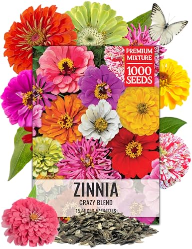 Seed Needs Zinnia Seeds 15+ Varieties Specialty Crazy Blend |
