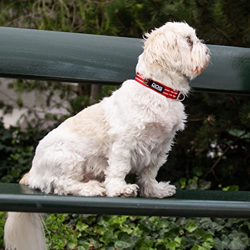 DOG Copenhagen Hundehalsband V2 Urban Style Collar Black Größe S