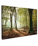 wandbild wald hirsch MATERIAL FOTOWAND: Unser Wandbilder wird auf einem robusten Holzrahmen mit einer Dicke von 2 cm gespannt. Dies gewährleistet nicht nur eine solide Struktur, sondern auch die Langlebigkeit Ihrer Wand Dekoration. Freuen Sie sich auf eine hochwertige Wandbild, die auch nach Jahren noch in erstklassigem Zustand ist.