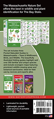 Massachusetts Nature Set: Field Guides To Wildlife, Birds, Trees & Wildflowers Of Massachusetts #TOP5