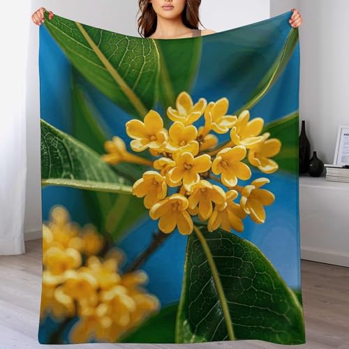 Couverture en molleton d'exception douceur premium 177,8 x 203,2 cm jaune osmanthus - 5