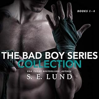 The Bad Boy Series Collection cover art