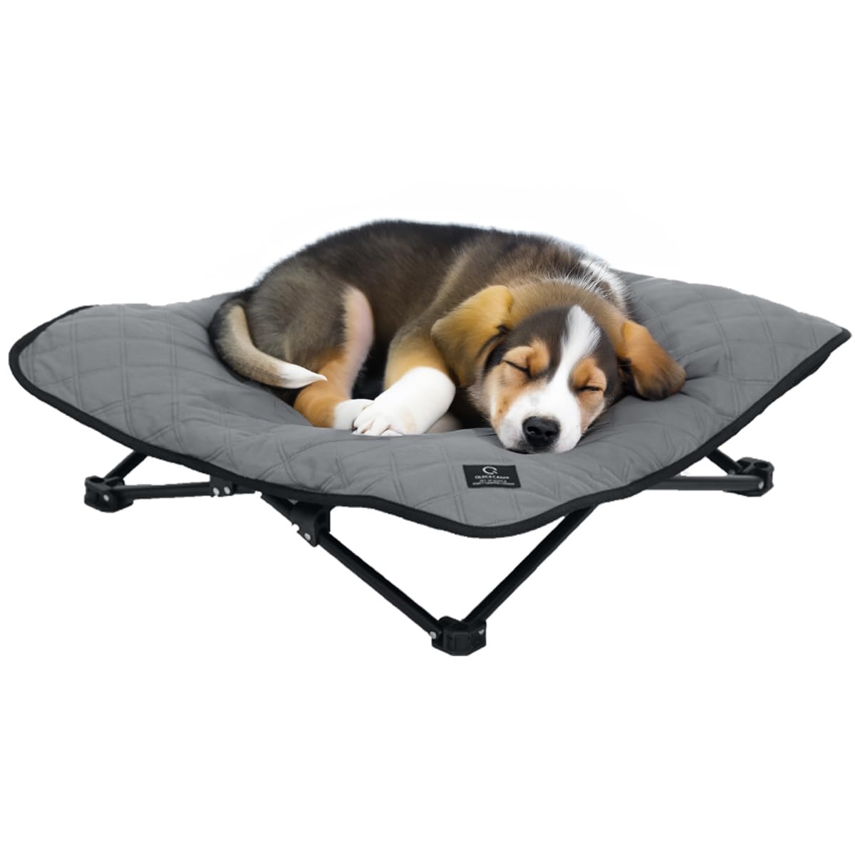 Amazon.co.jp: [クイックキャンプ] 犬用ベッド ドッグコット