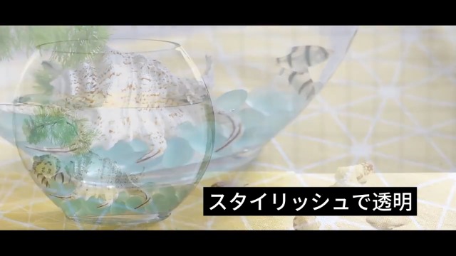 Amazon | 金魚鉢 水槽 アクアリウム 金魚 ガラス 容器 ミニ オブレート