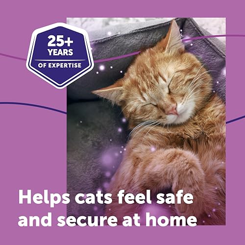 FELIWAY Classic 3 x 30 Day Cat Calming Odourless Refills for Pheromone Diffuser, 3 x 48ml - Helps Solve Common Signs of Stress in Cats & Kittens, Veterinary Recommended, Drug-free, Clinically Proven - Image 5