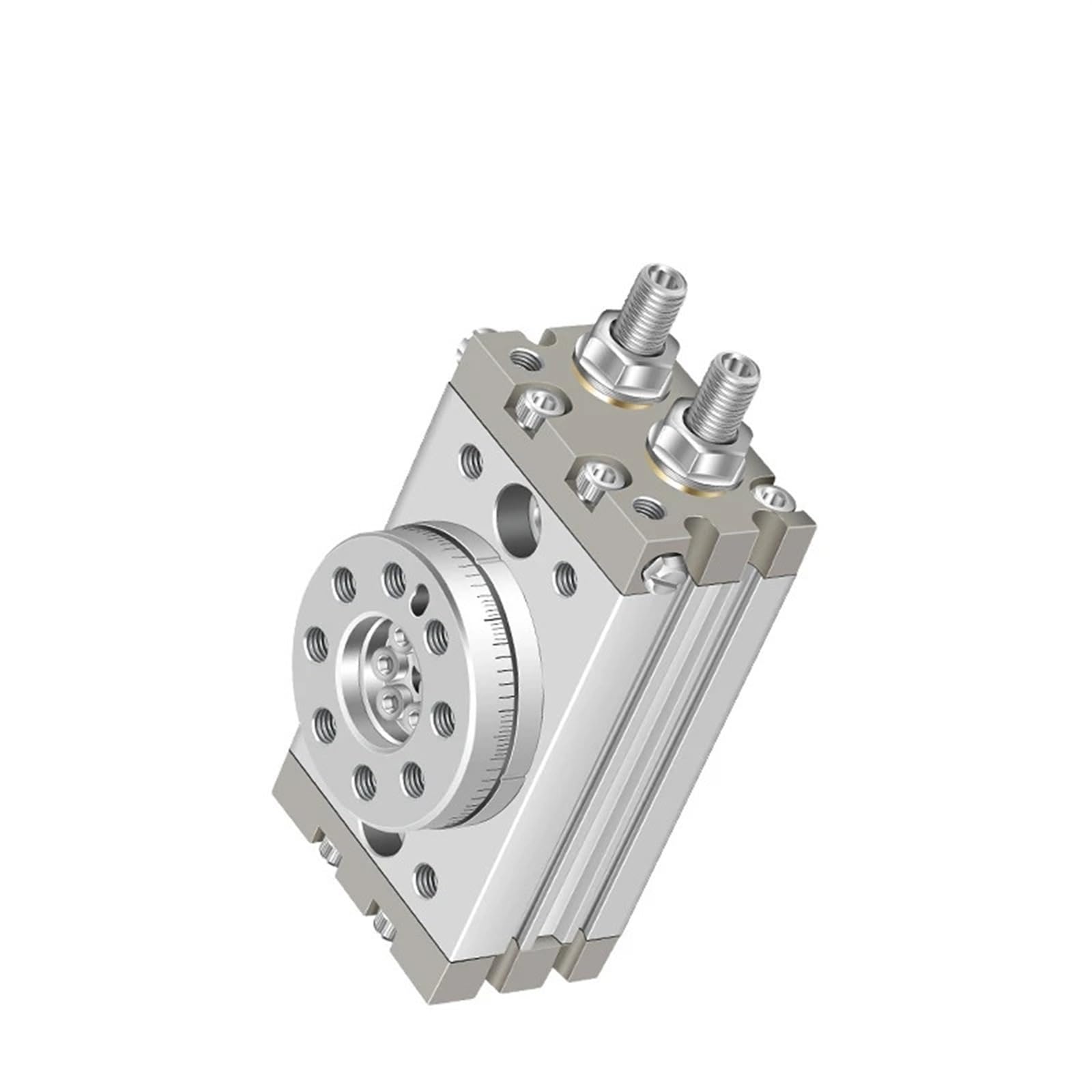 COSZWQDP Rotating Pendulum Cylinder MSQB1A MSQB2A MSQB3A MSQB7A MSQB10A MSQB20A MSQB30A MSQB50A MSQB10R MSQB20R MSQB30R MSQB50R(Msqb3a)