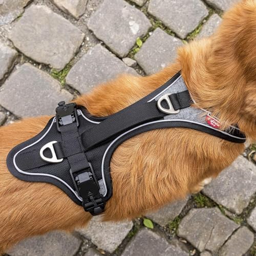 Magnetic Belka Comfort Harness Black S