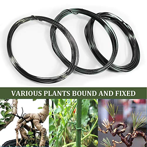 Falidi Bonsai Wire Set- 9 Roll Tree Training Wires 295.2 Feet Total，Anodized Aluminum Wire 1Mm/1.5Mm/2.0 Mm Training Wire，For Bonsai Trees Indoor #TOP3