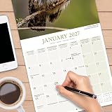 Avonside Sowy 2027 Kalendarz z Naklejkami Organizacyjnymi, 16-Miesięczny Kwadratowy Kalendarz Ścienny (wrz 2026 - gru 2027), Planer dla Miłośników Ptaków, 29,5 x 29,5 cm